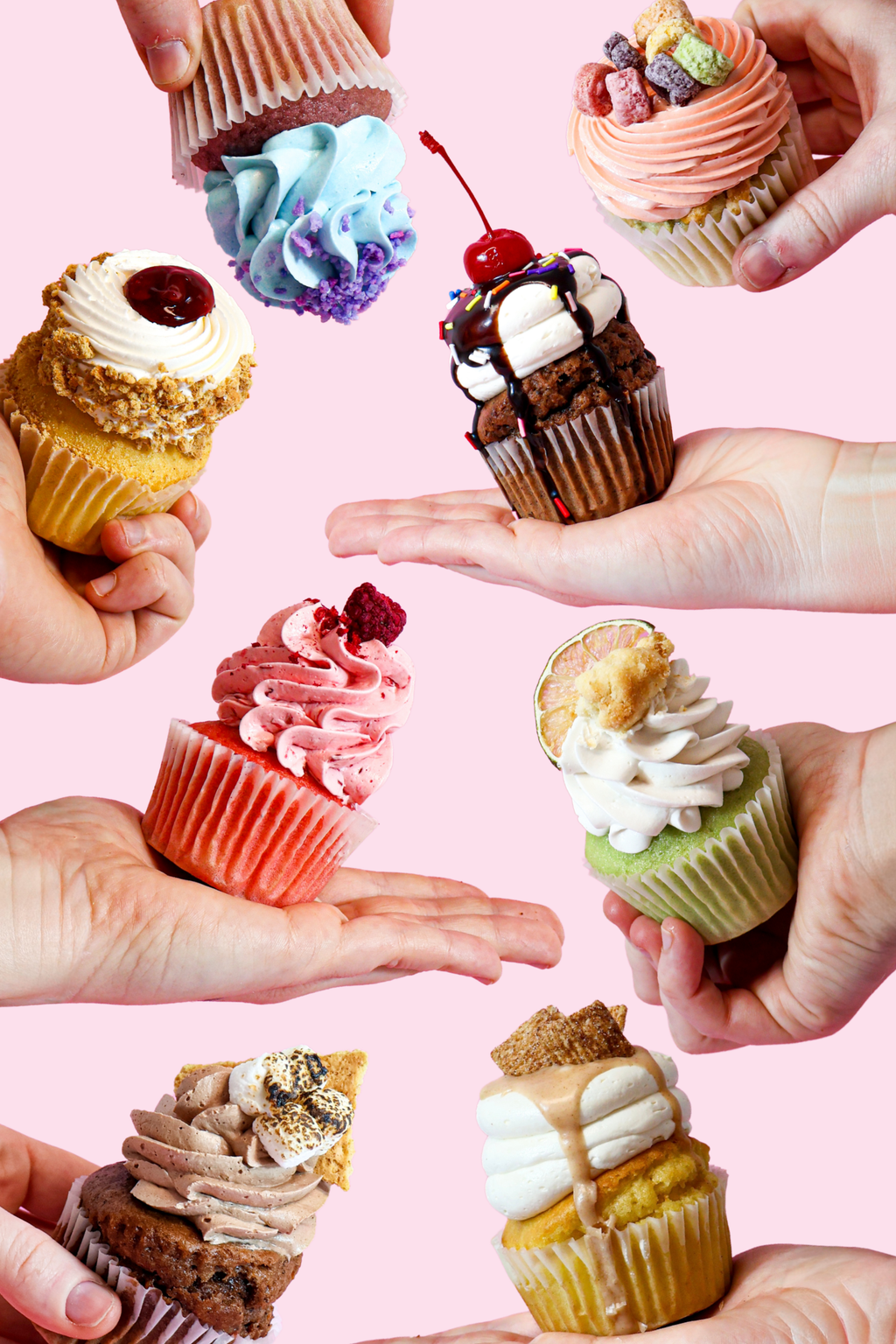 Boite de 6 cupcakes