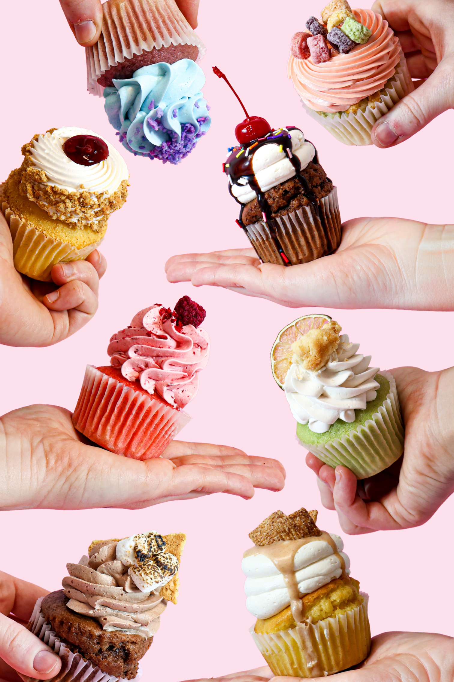 Boite de 12 cupcakes